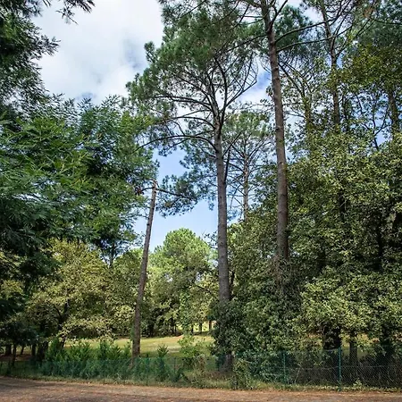 Demeure D'exception Sur Le Golf De Avec Piscine Chauffee Tatil Evi Biscarrosse