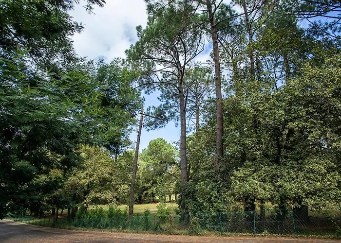 Demeure D'exception Sur Le Golf De Avec Piscine Chauffee Ferienhaus Biscarrosse